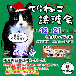 【第19回】てらねこ譲渡会