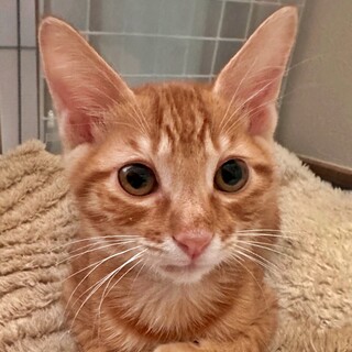 面談中♡そぼろくん