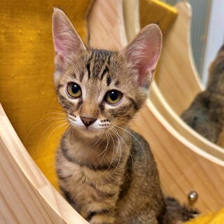 面談中♡うめちゃん