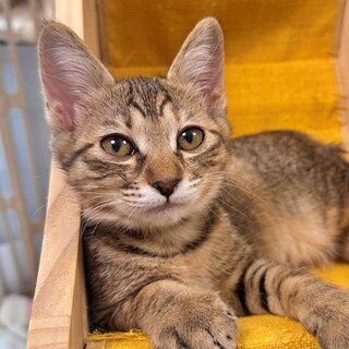 面談中♡たかなちゃん