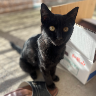 人なつっこい男の子♡