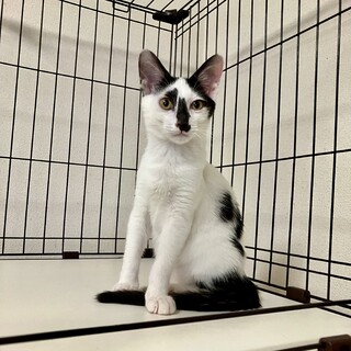 ありがとうございました★可愛らしいイゴくん