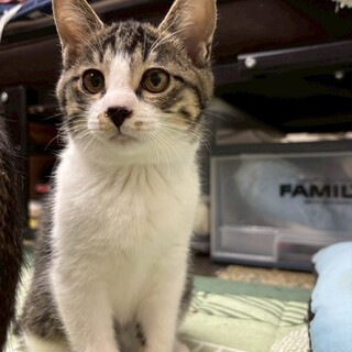 遊ぶの大好き♡ジジちゃん