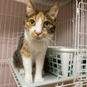 人馴れ抜群で甘えん坊♡モンちゃん サムネイル6