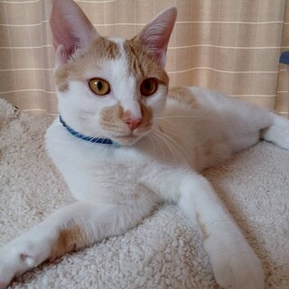 人馴れ抜群！ごはんも遊びも大好き★ポトフくん