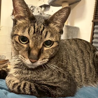 人馴れ抜群&甘え上手★ニノくん