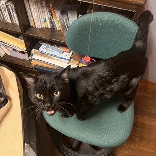 甘えんボンベイ