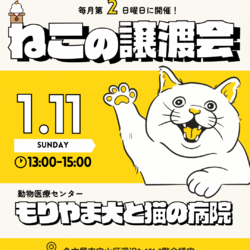 【名古屋】猫の譲渡会【保護猫】