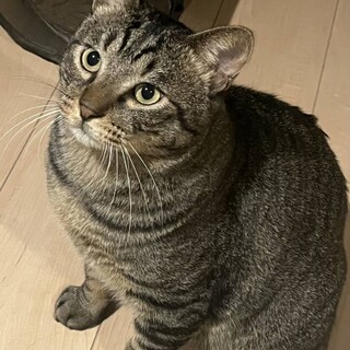 〝きみお君〟です♪