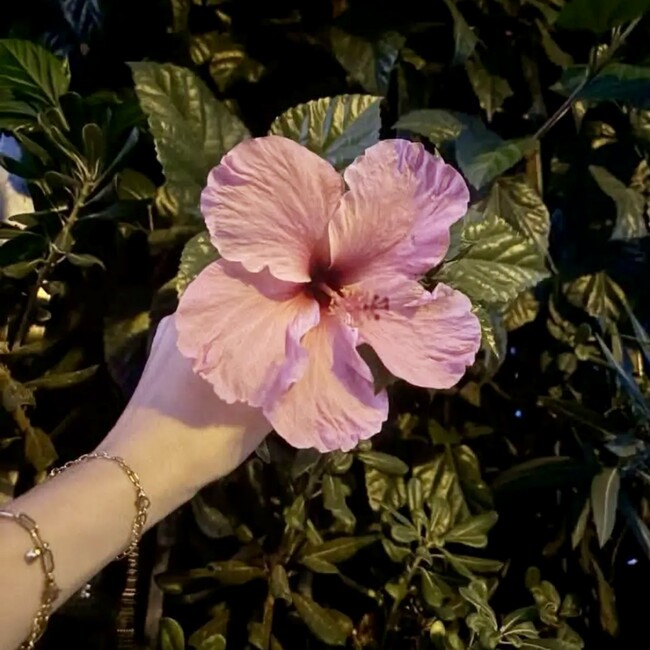 s.m.kのカバー写真