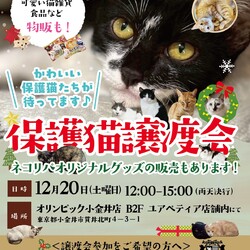 保護猫譲渡会@オリンピック小金井店