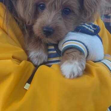 抱っこ大好き♡