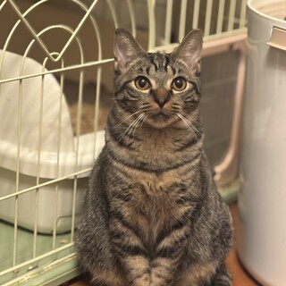 まん丸ボディとまん丸お目めのとしおくん