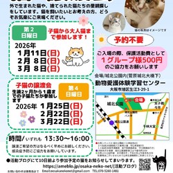 NPO法人おおさかねこネット 猫の譲渡会