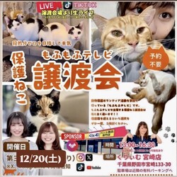もふもふテレビ保護ねこ譲渡会