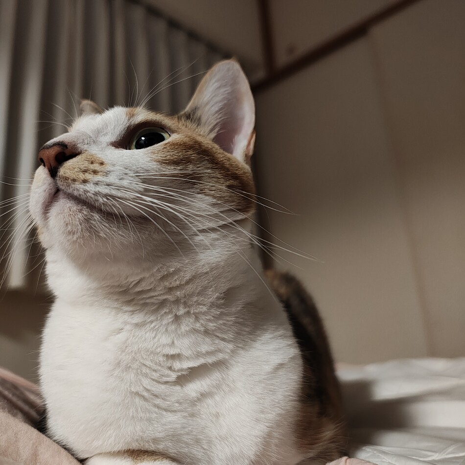 スんのカバー写真