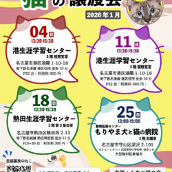 ▼猫の譲渡会▼名古屋市守山区