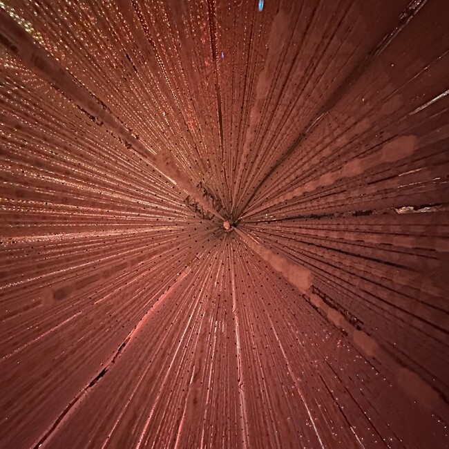 あぴんのカバー写真