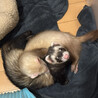 うなきな