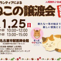 猫の譲渡会☆大須商店街近く
