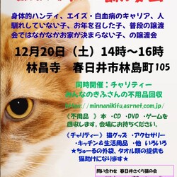 訳あり猫の譲渡会in春日井