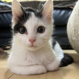 12/21西千葉ෆ⃛人馴れ抜群ෆ⃛くーくーくん