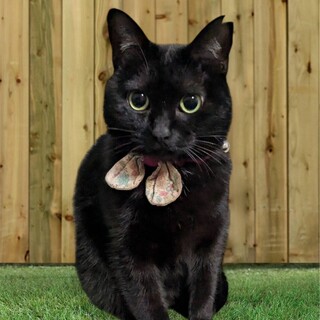 丸っこ可愛い♡綾ちゃん♡