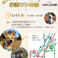 あつまれ！保護わんの森inほしだ園地(定期譲渡会)