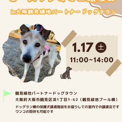 ピースワンコ生駒ミニ譲渡会 in大阪鶴見緑地パートナードッグタウン