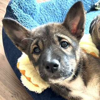 実物もっと可愛い♡顔くろの女の子