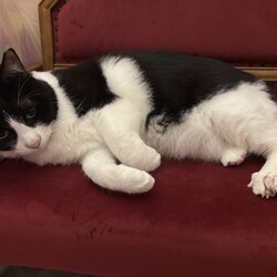 「手術終わりました」サムネイル2