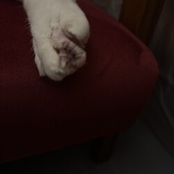 「手術終わりました」サムネイル3