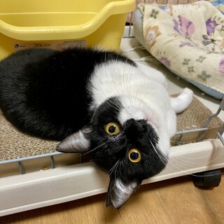 ぱっちりお目々の女の子