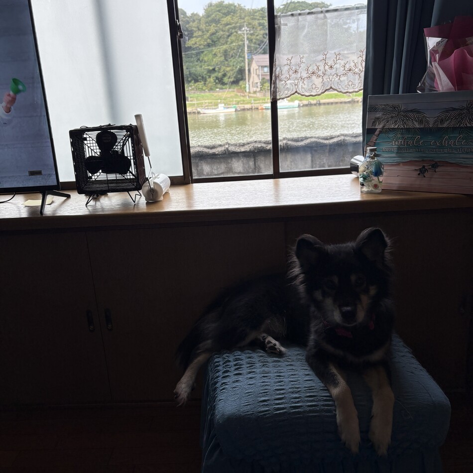 西子のカバー写真