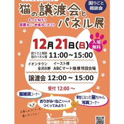 【猫の避妊と去勢の会】猫の譲渡会とパネル展、困りごと相談会