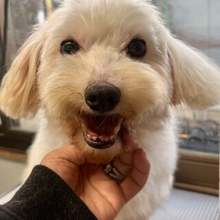 25-M54　可愛い甘えん坊ライト君！！