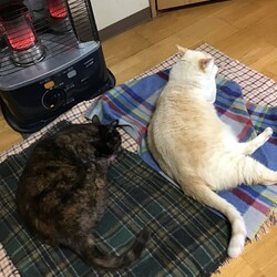 今年も終わっちゃうね