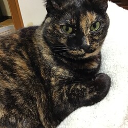 「今年も終わっちゃうね」サムネイル2