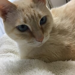 「今年も終わっちゃうね」サムネイル3