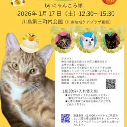 猫の譲渡会　by にゃんころ隊　1/17