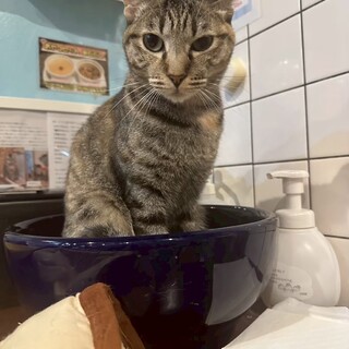 怖がりだけど遊ぶの大好きなペコちゃん♪