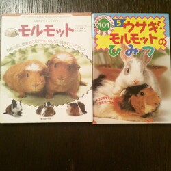信頼できる獣医師様についてです。