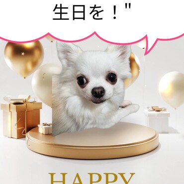 チロル誕生日おめでとう- ̗̀ 