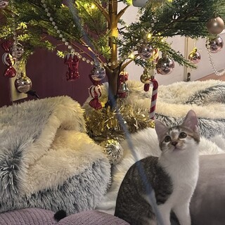 兄妹みんなで仲良しポポ