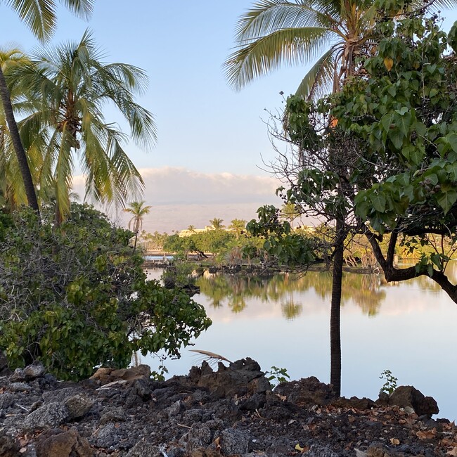 まーろん55のカバー写真