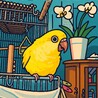 オキナインコのアブラ