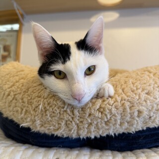 とっても甘えんぼなハルちゃん