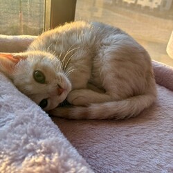 「今日も仲良し」サムネイル2