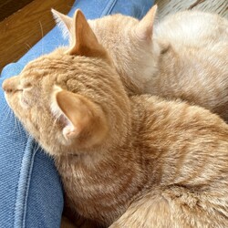 日当たりのいい廊下で