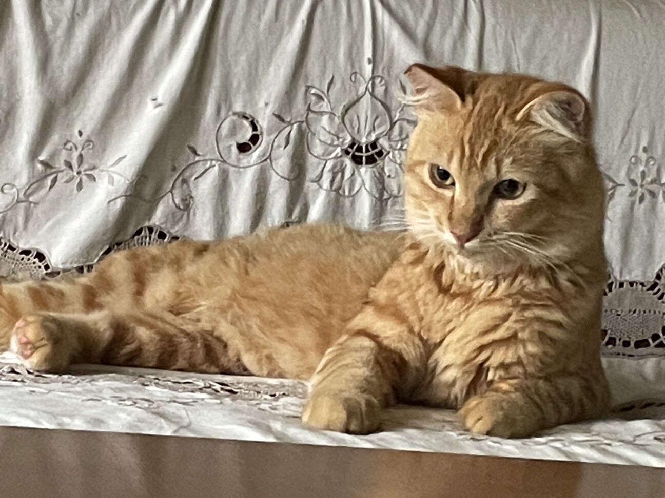 しっぽフサフサ麦茶くん♪ サムネイル2